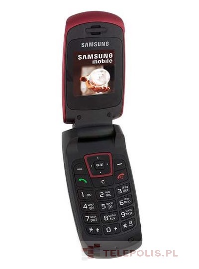 Samsung SGH-C270
