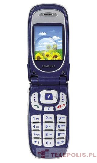 Samsung SGH-D100