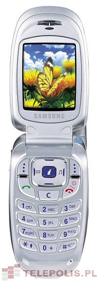 Samsung SGH-E100