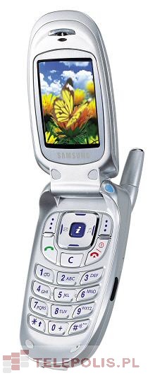 Samsung SGH-E100