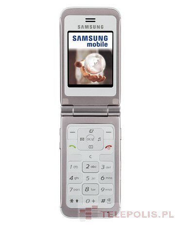 Samsung SGH-E420