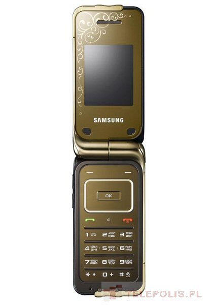 Samsung SGH-L310