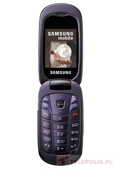 Samsung SGH-L320
