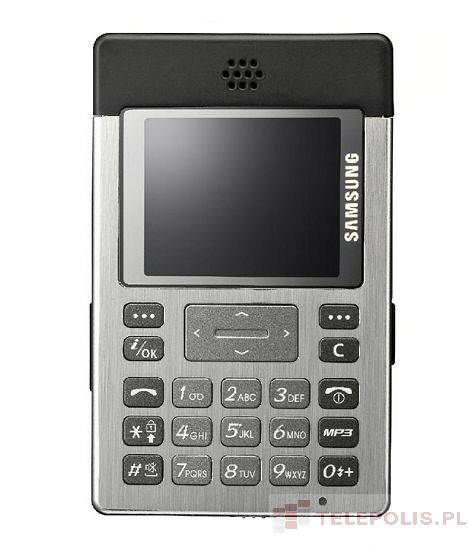 Samsung SGH-P300