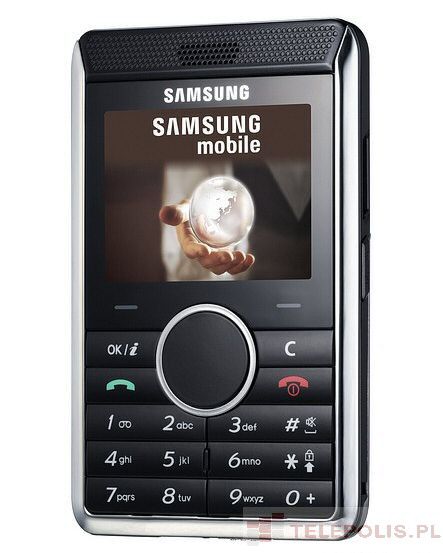 Samsung SGH-P310