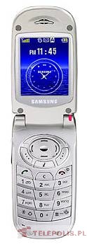 Samsung SGH-S100