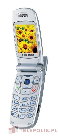 Samsung SGH-S500