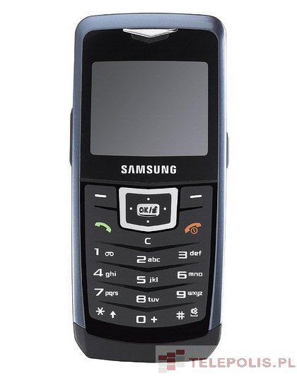 Samsung SGH-U100