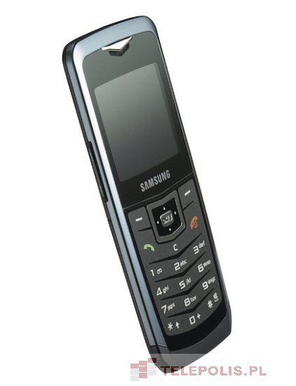 Samsung SGH-U100