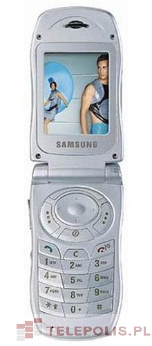 Samsung SGH-V100