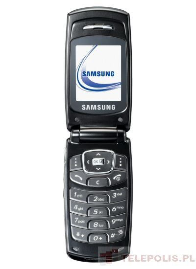 Samsung SGH-X200