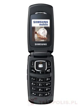 Samsung SGH-X210
