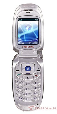 Samsung SGH-X450