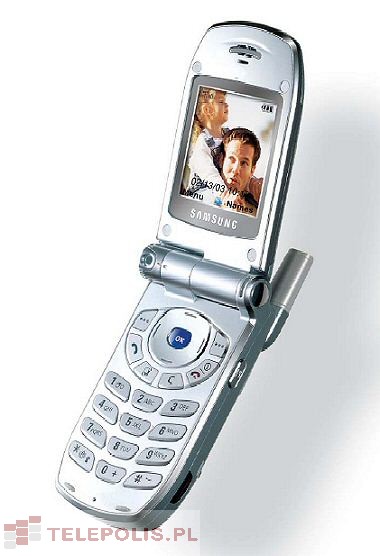 Samsung SGH-Z100