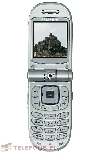 Samsung SGH-Z107