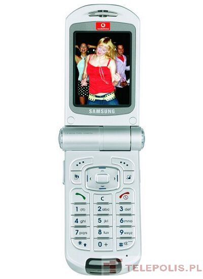 Samsung SGH-Z110