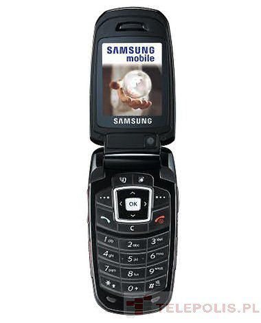 Samsung SGH-Z230