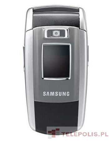 Samsung SGH-Z500