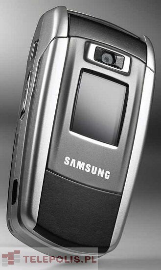 Samsung SGH-Z500