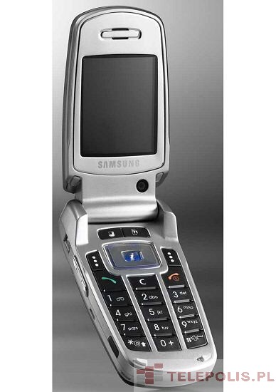 Samsung SGH-Z500