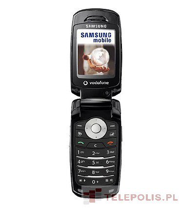 Samsung SGH-ZV60
