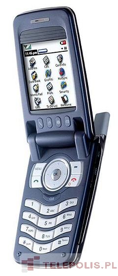 Samsung SGH-i500