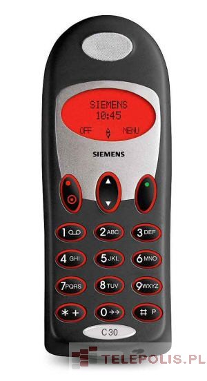 Siemens C30