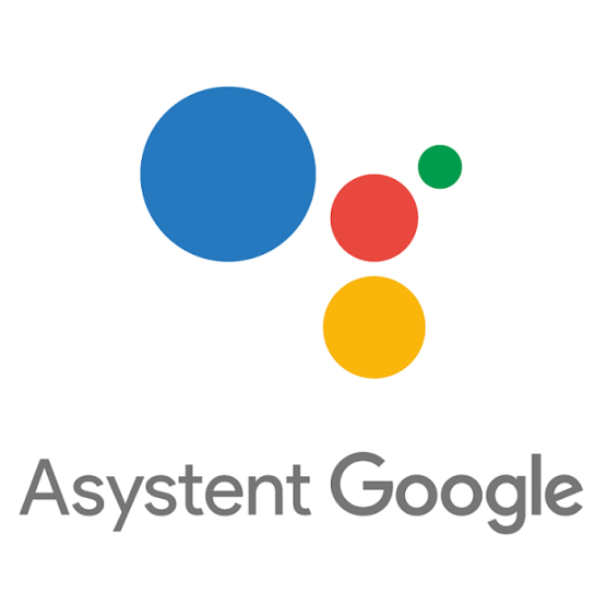 Asystent Google przemówił po polsku na inteligentnych ekranach
