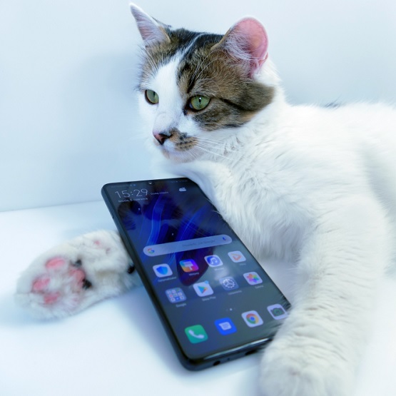 Test Huawei P30 - bez Pro w nazwie też można być fotograficznym gigantem