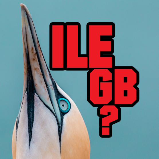 Ile Internetu w telefonie? Więcej i jeszcze kilka gigabajtów na zapas