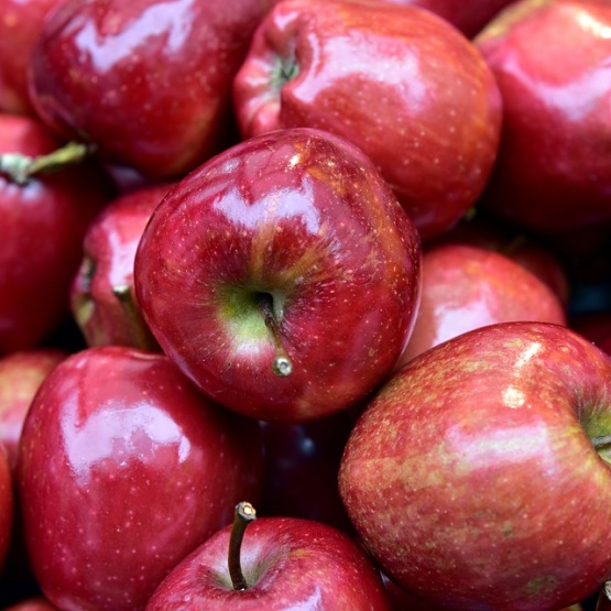 Spotify krytykuje Apple One