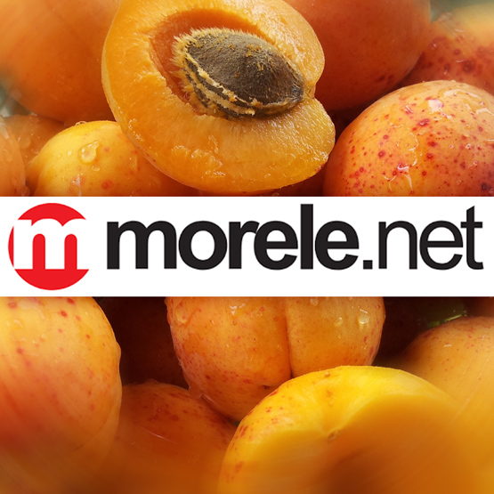 Sprawdź czy sklep Morele.net udostępnił twoje dane