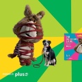 Przygarnij darmowy starter Plush na Kartę