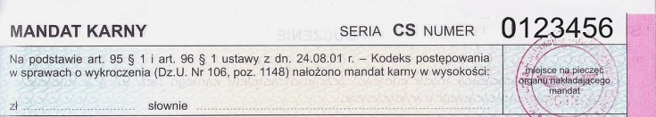 Można już sprawdzić punkty karne przez Internet