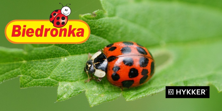 Trzy produkty Hykker od poniedziałku w Biedronce