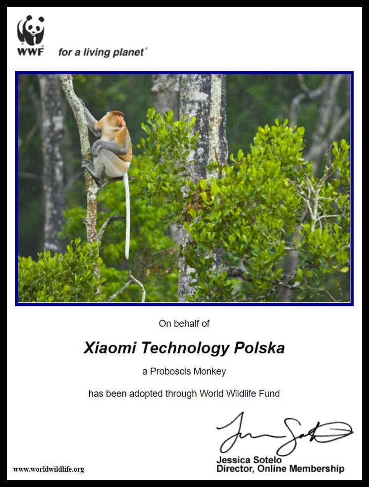 Xiaomi Polska adoptowało nosacza sundajskiego! Tak, tego z memów